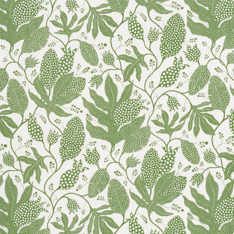 Schumacher POLKA DOT JUNGLE GREEN & IVORY  | Atlanta Fabrics
