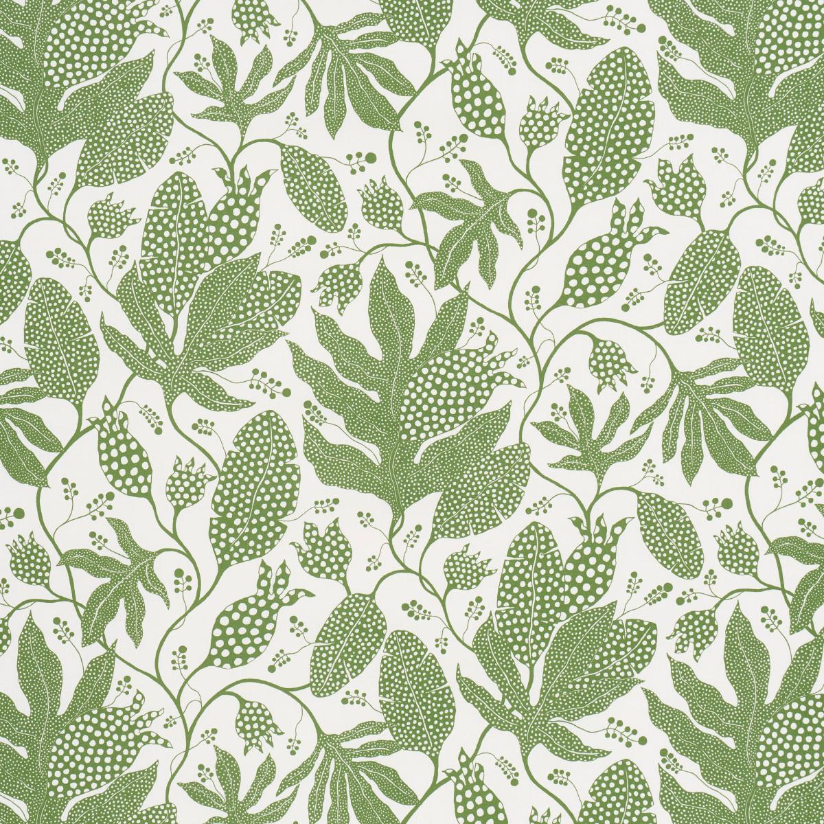Schumacher POLKA DOT JUNGLE GREEN & IVORY Fabric | Atlanta Fabrics