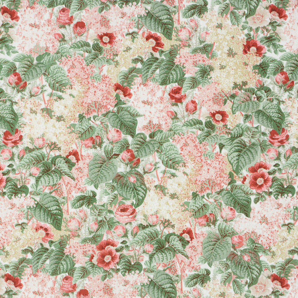 FLORA'S FLEURS APRICOT