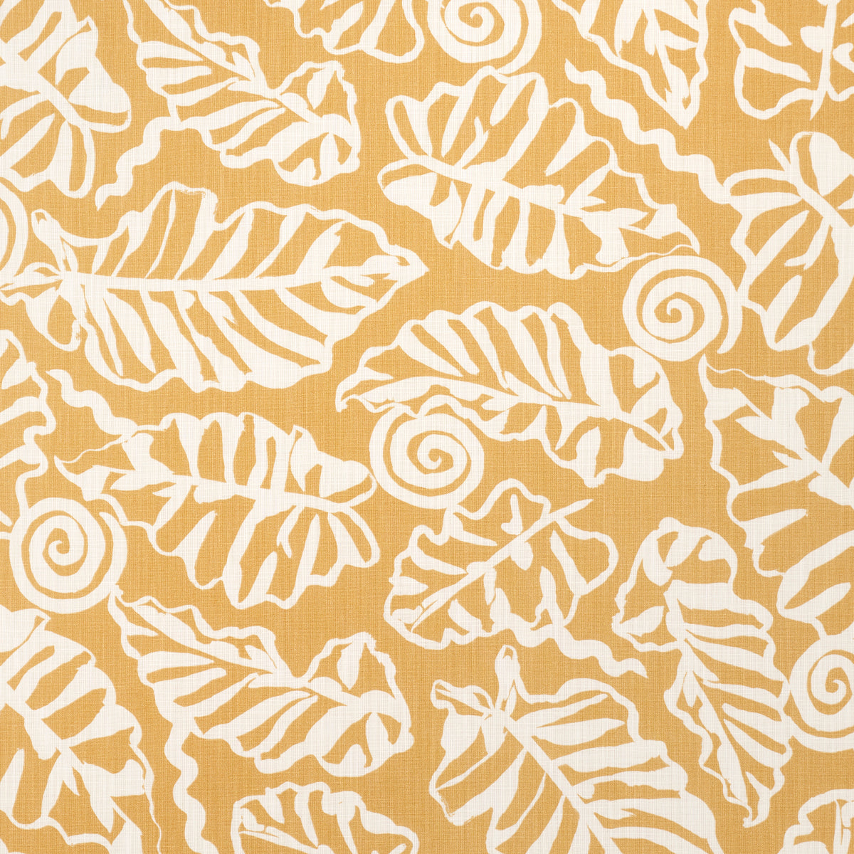 DEL MAR INDOOR/OUTDOOR MARIGOLD