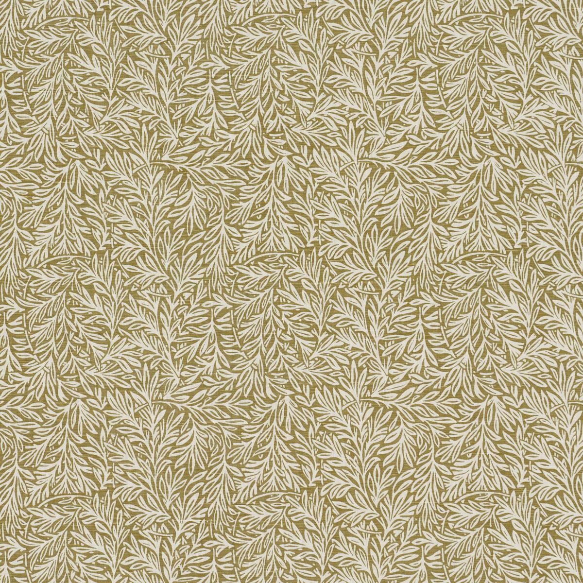WILLOW LEAF MOSS
