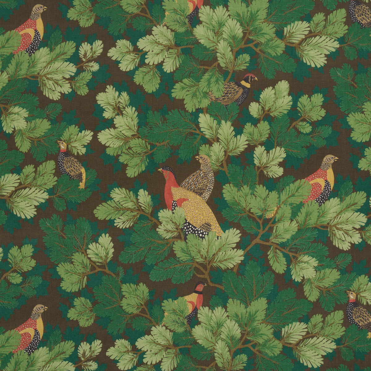 Covey Hedge Chestnut