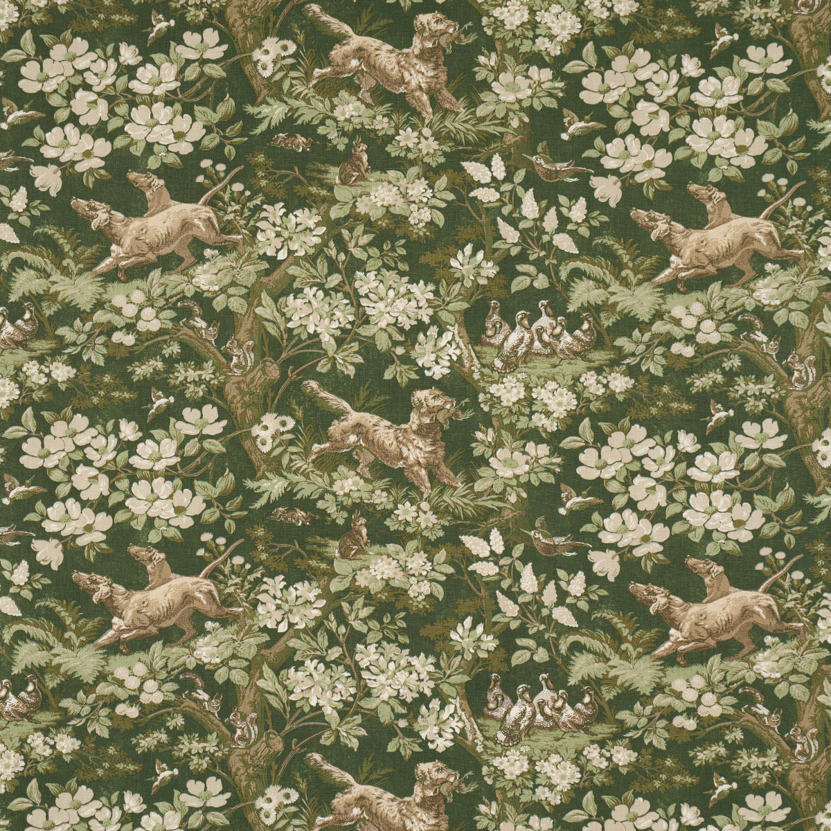 HOUND MEADOW FOREST