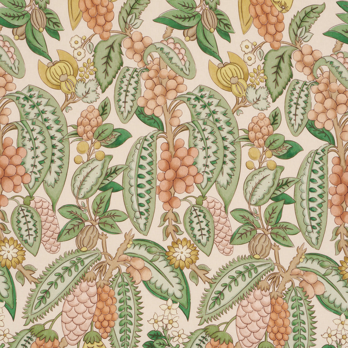 Schumacher FRUITS DE SAISON APRICOT Fabric | Atlanta Fabrics