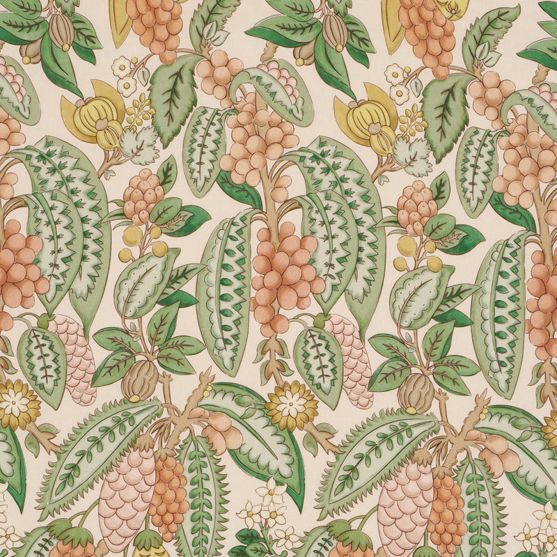 Schumacher FRUITS DE SAISON APRICOT Fabric | Atlanta Fabrics