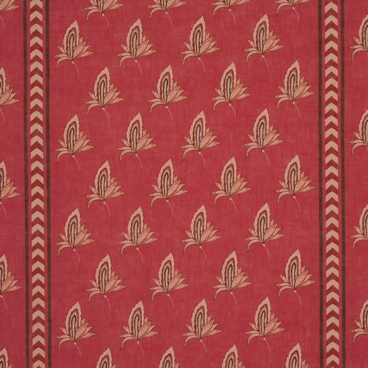 BANGALORE IMAGINATION ROUGE