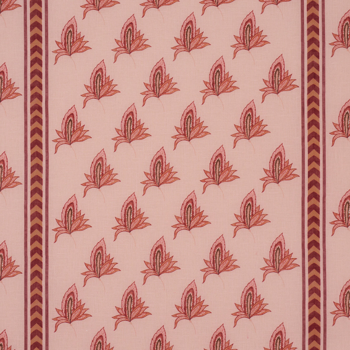 BANGALORE IMAGINATION ROSE