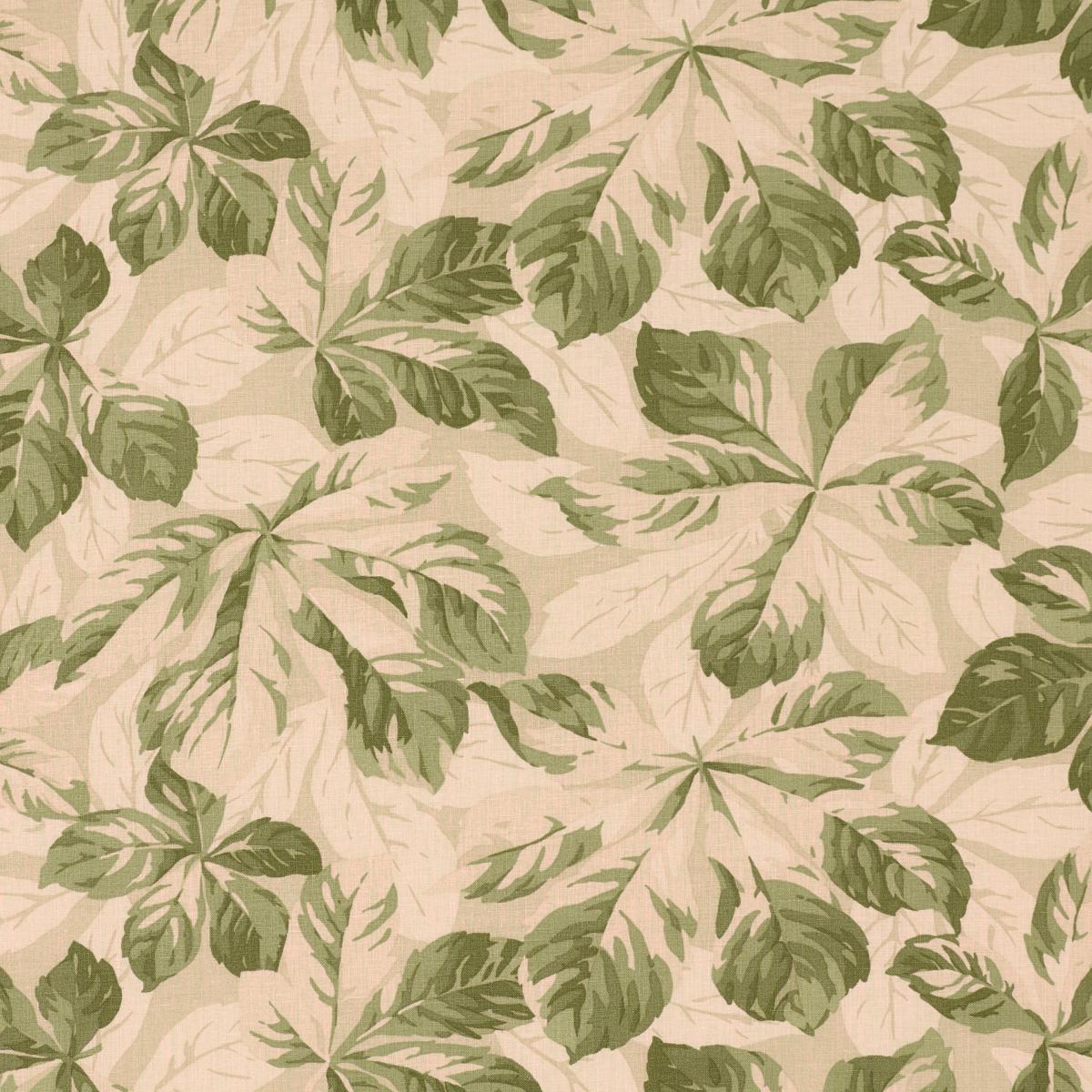 ARBOREAL SAGE