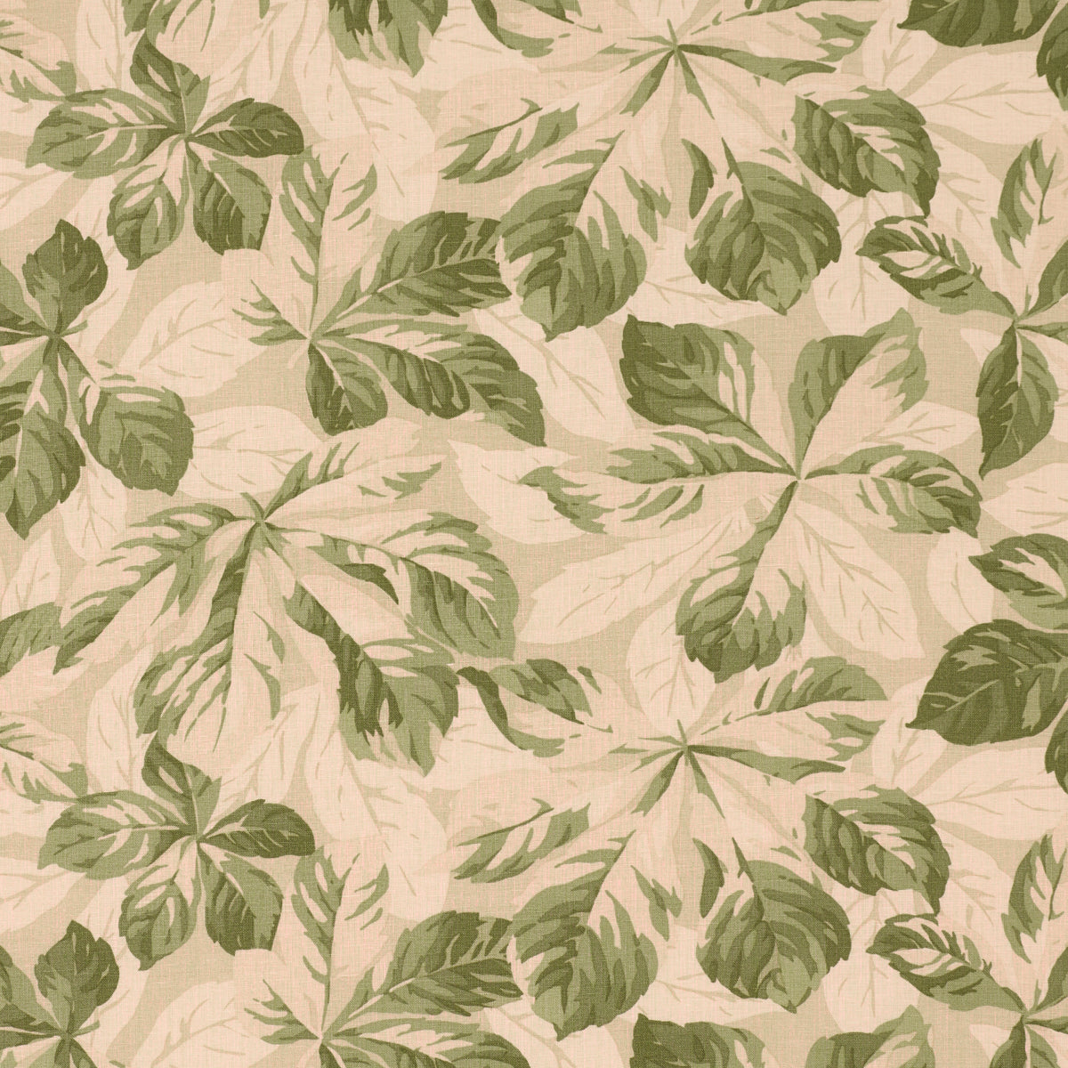 ARBOREAL SAGE