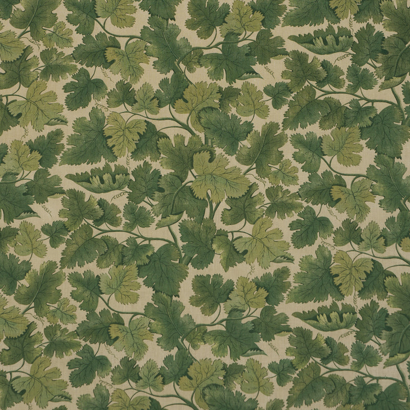 Schumacher EDINBURGH VINE MOSS  | Atlanta Fabrics