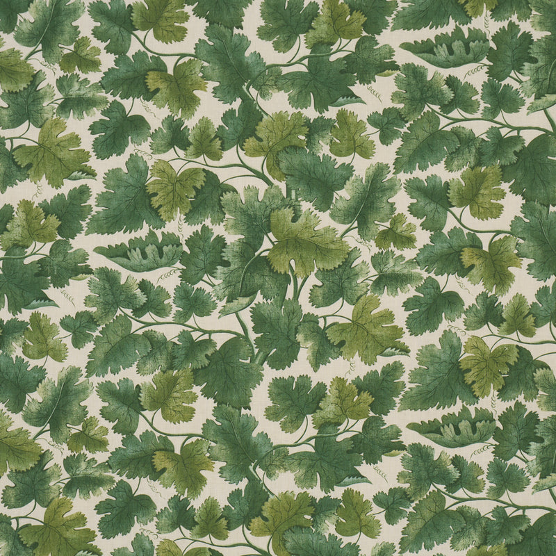 Schumacher EDINBURGH VINE FOREST  | Atlanta Fabrics