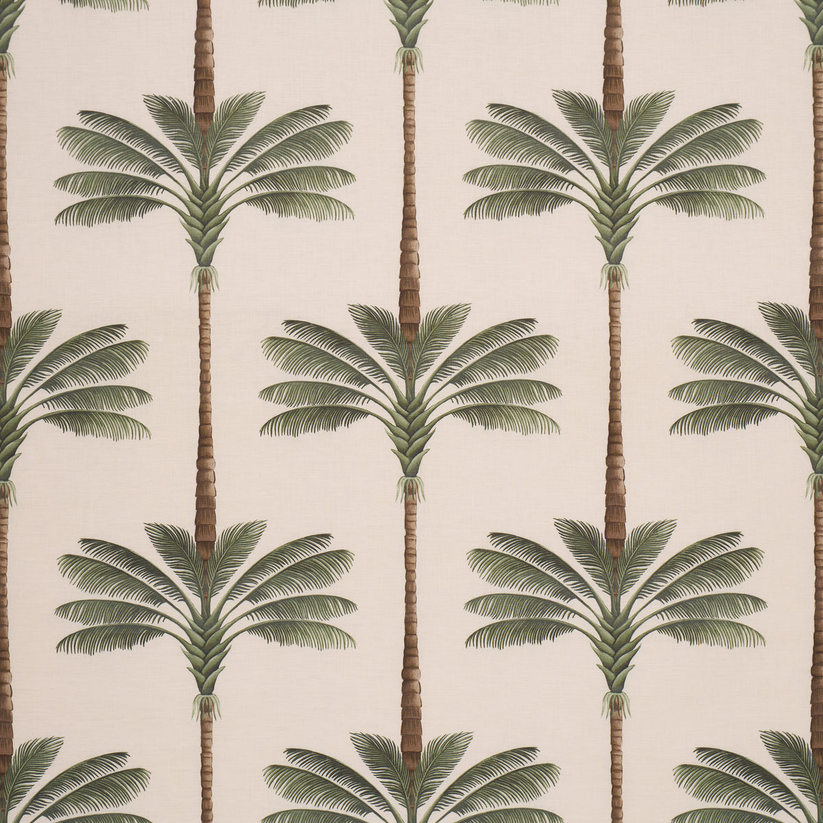 A PALM IS A PALM PRINT DAYLIGHT EVERGREEN
