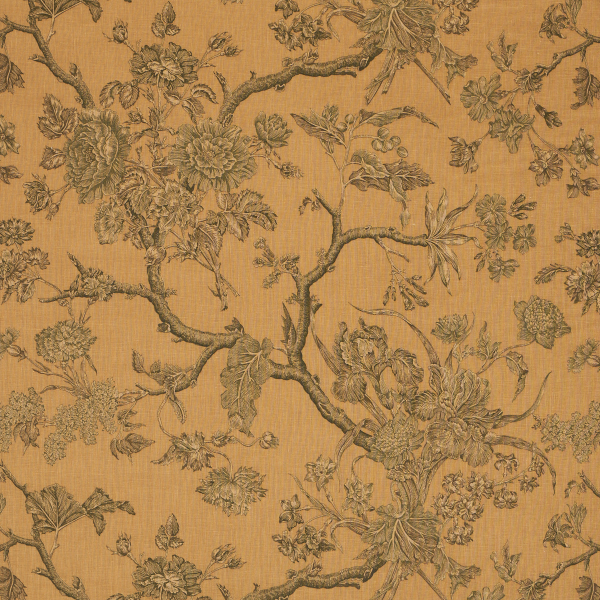 Schumacher INVERNESS GARDEN DOCUMENT  | Atlanta Fabrics