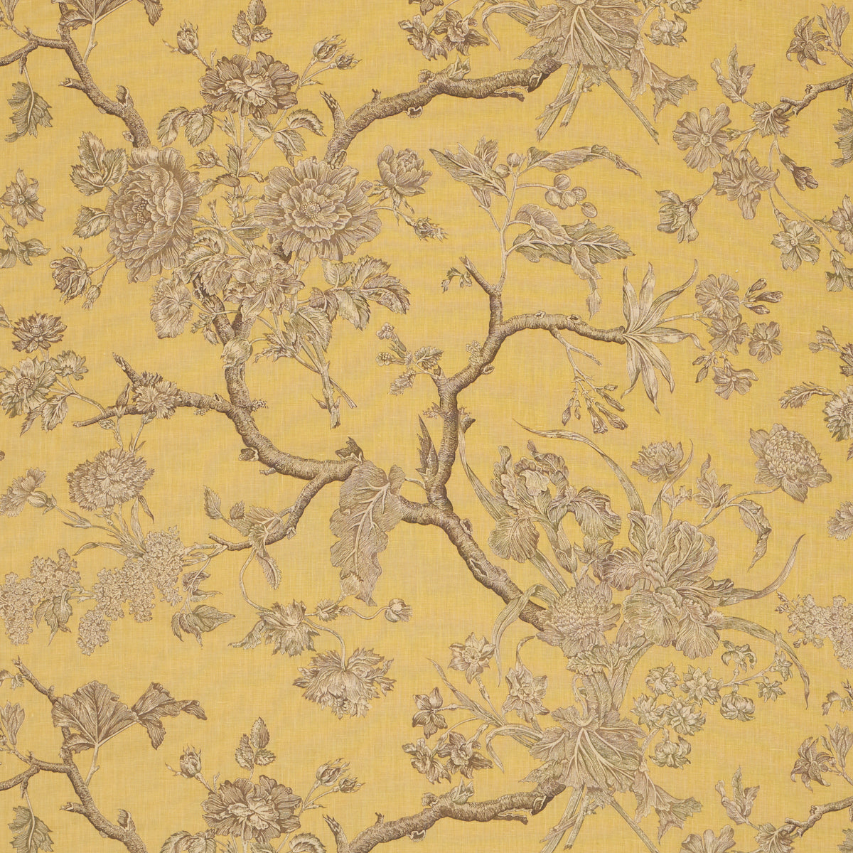 Schumacher INVERNESS GARDEN BUTTERCUP  | Atlanta Fabrics