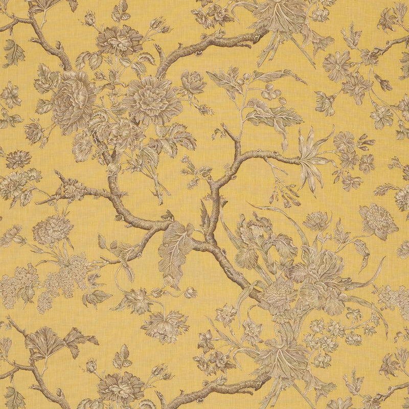 Schumacher INVERNESS GARDEN BUTTERCUP  | Atlanta Fabrics