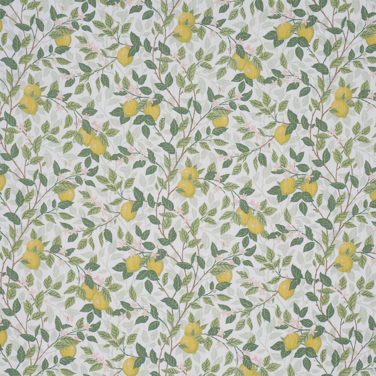 CITRONTRÌãD IVORY AND LEAF