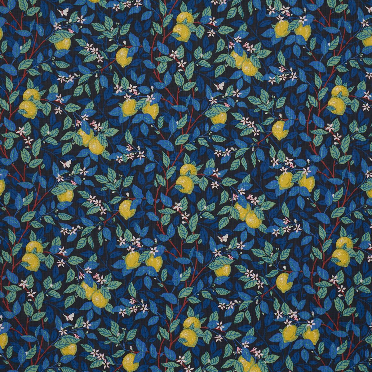 Schumacher CITRONTRÌãD SPRUCE AND BLUE Fabric | Atlanta Fabrics