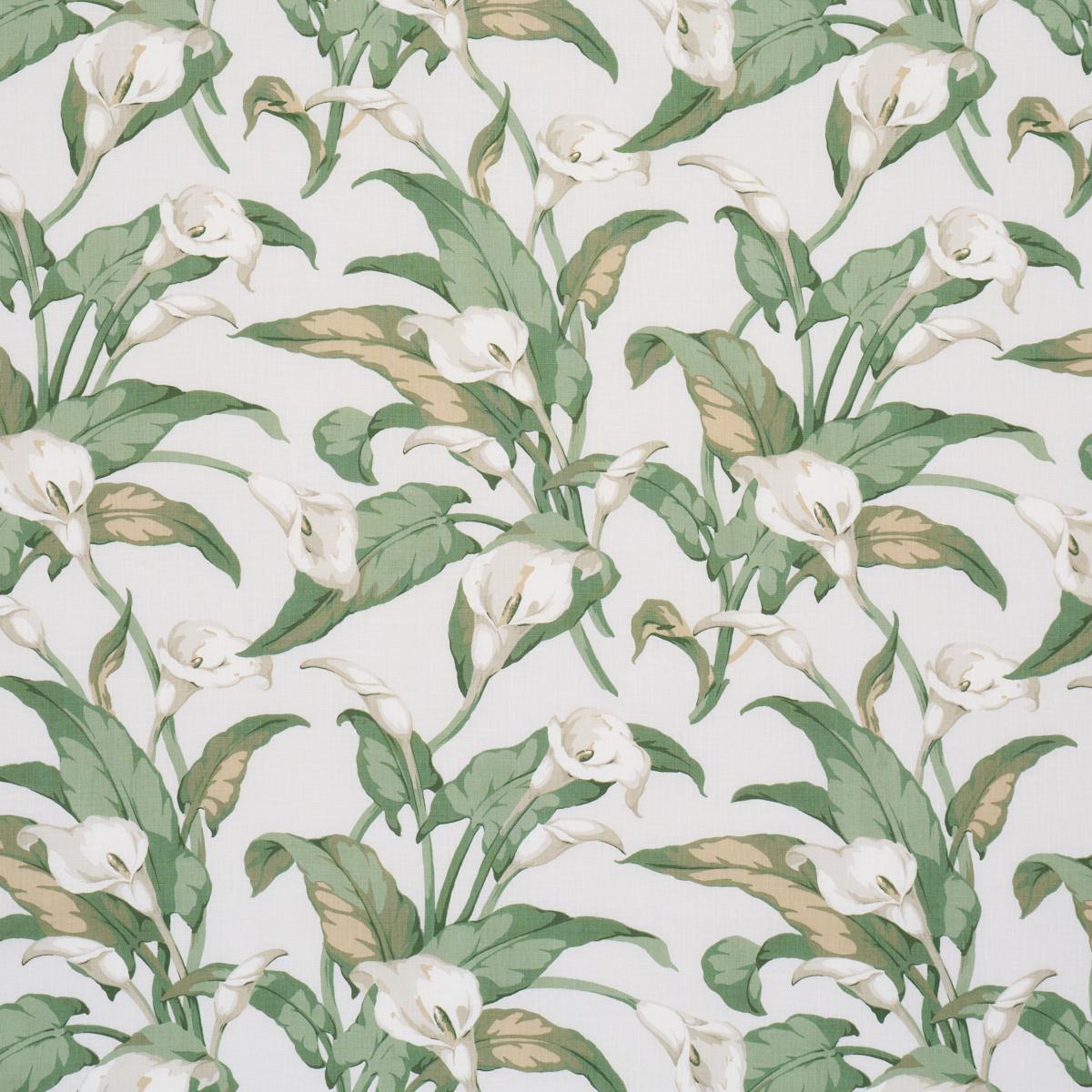 Arum Lilies Ivory