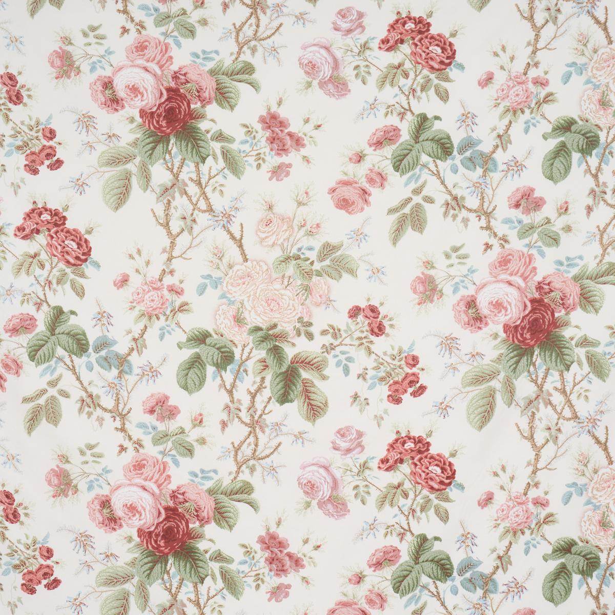 SHE WALKS IN BEAUTY CHINTZ ROSE