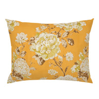 Lantern Vine Goldenrod