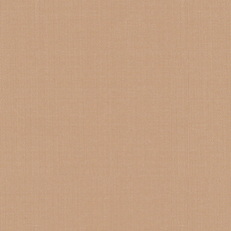 SARGENT SILK TAFFETA BUFF