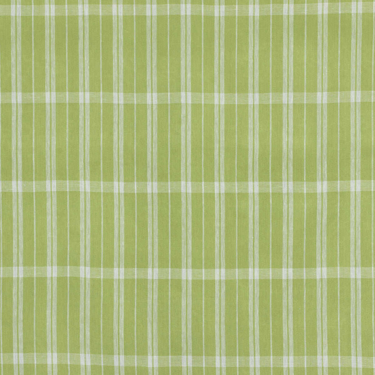 LINEN CHECK CELERY