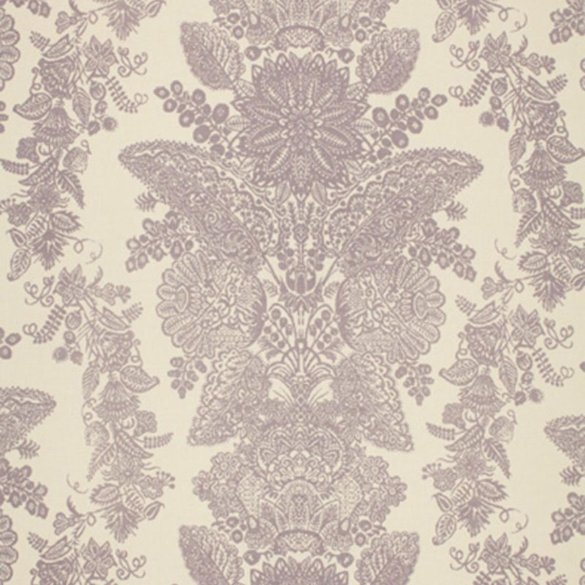 LACE ORCHID