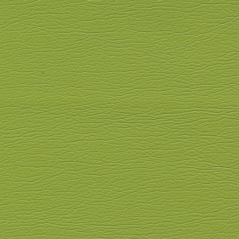 ULTRALEATHER PARROT