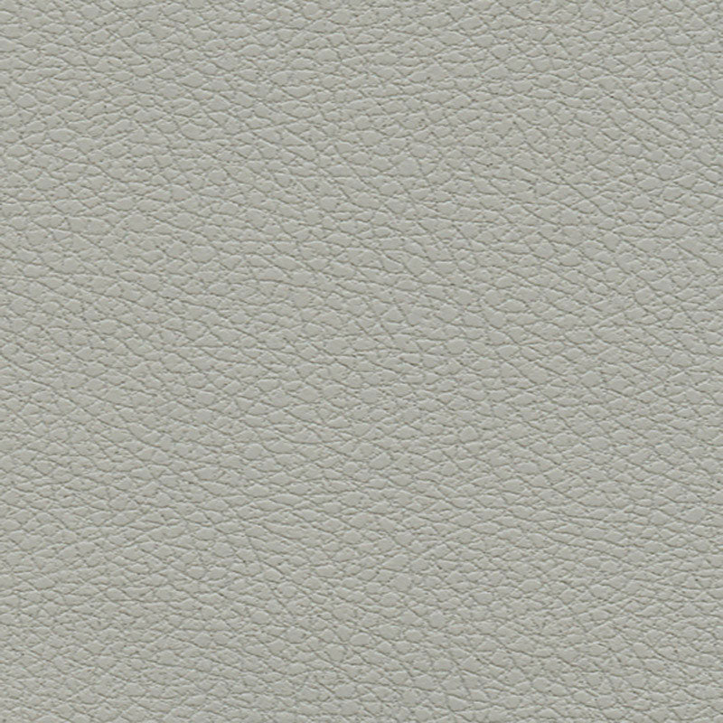 Schumacher BRISA QUICKSILVER Fabric | Atlanta Fabrics