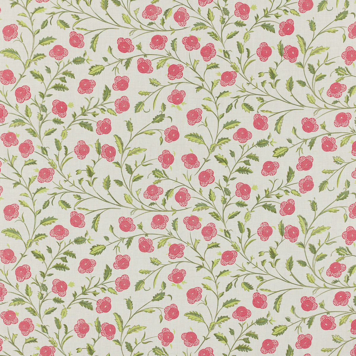 VICTORIA PLUM