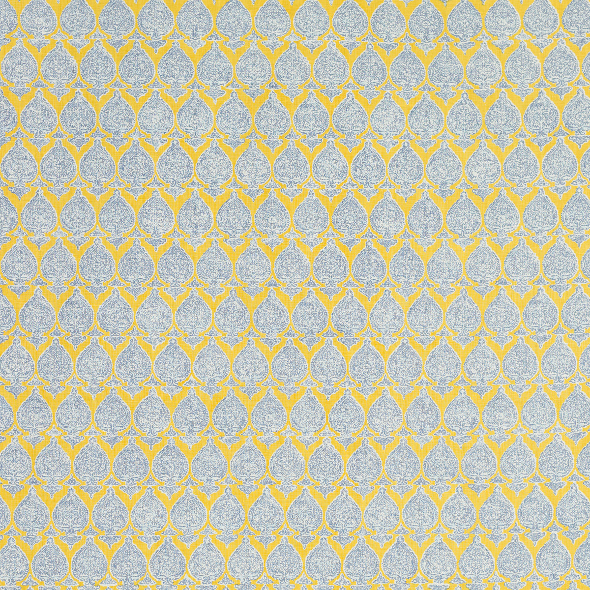 SARI SAFFRON
