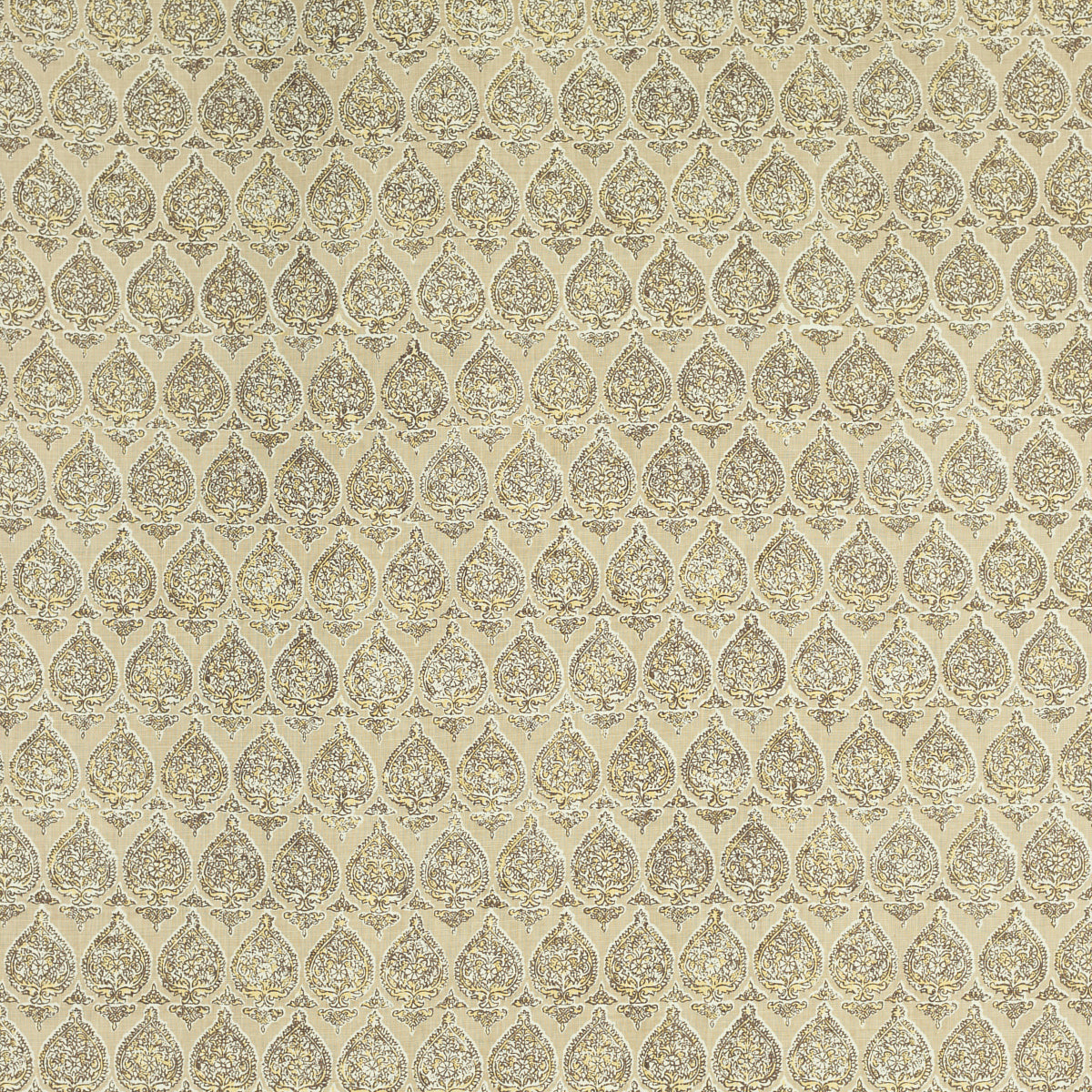 SARI NOUGAT