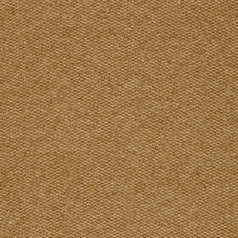 TWEEDY VICUNA