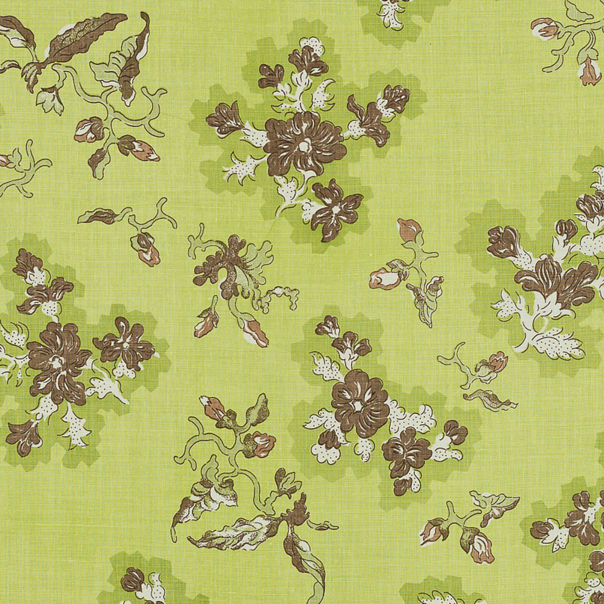 VIOLA CELERY