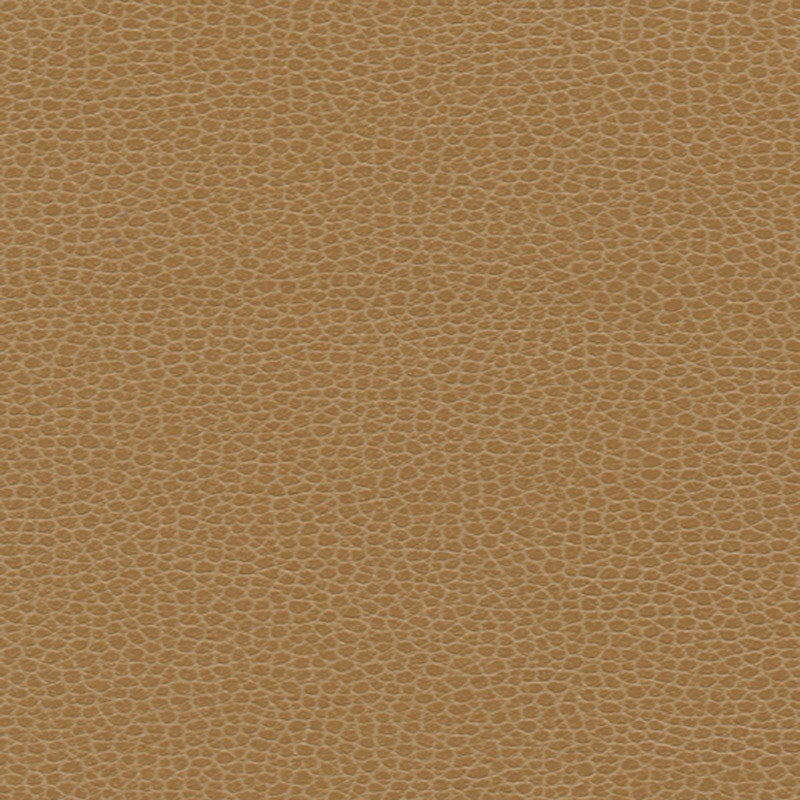 PROMESSA CAMEL