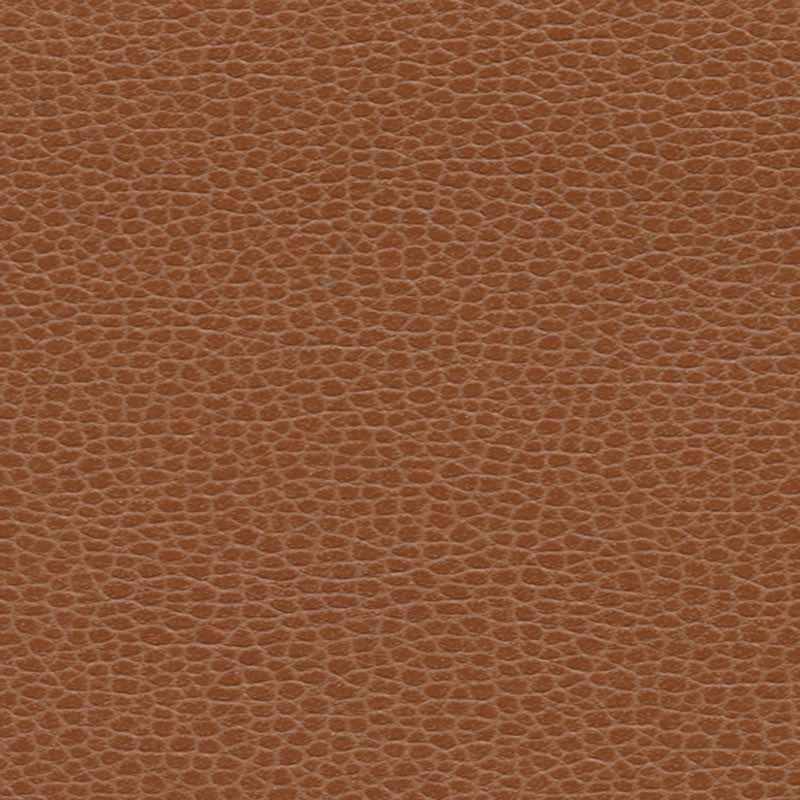 Schumacher PROMESSA LEATHER Fabric | Atlanta Fabrics