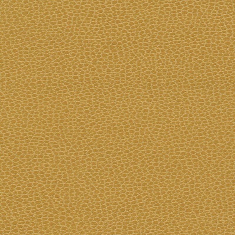 Schumacher PROMESSA SUNSHOWER Fabric | Atlanta Fabrics