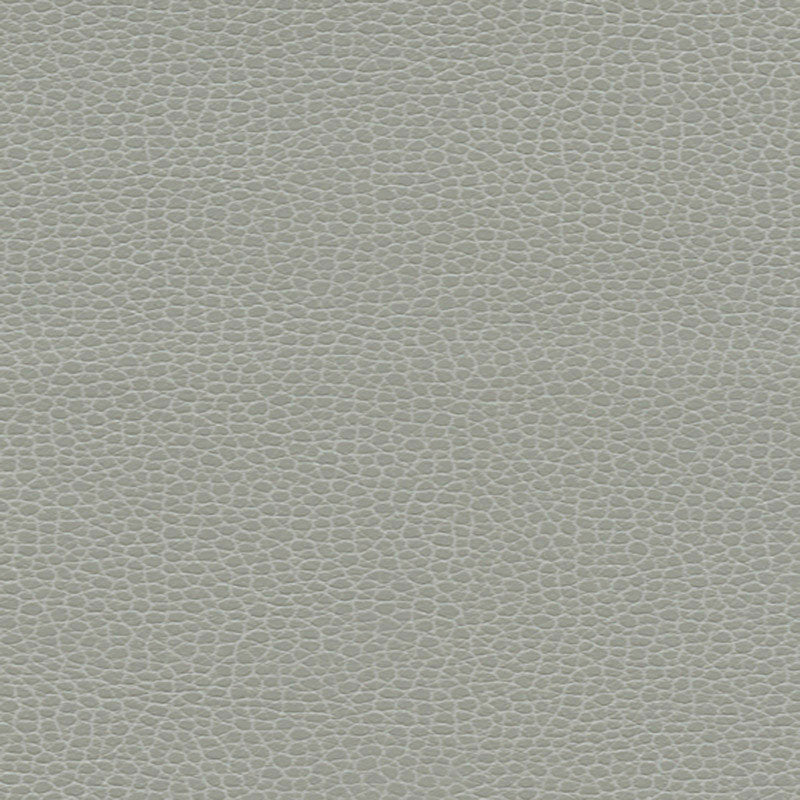 PROMESSA ASH