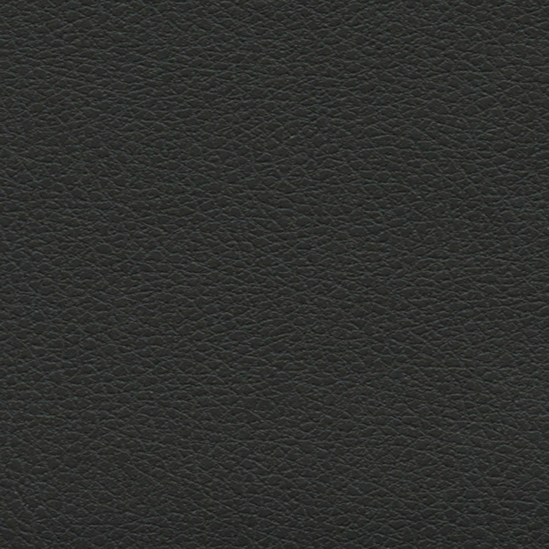 Schumacher BRISA SOLEIL INDOOR/OUTDOOR BLACK ONYX Fabric | Atlanta Fabrics