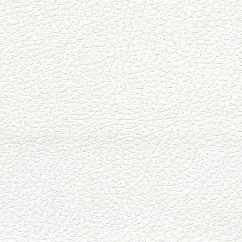 Schumacher BRISA SOLEIL INDOOR/OUTDOOR POLAR Fabric | Atlanta Fabrics
