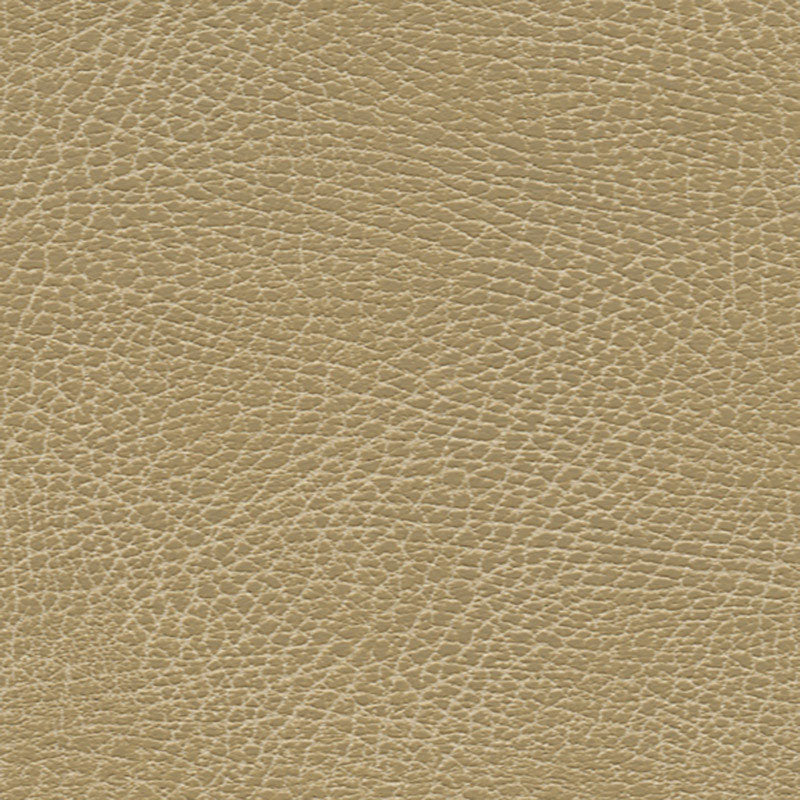 Schumacher BRISA SOLEIL DISTRESSED BUCKS Fabric | Atlanta Fabrics