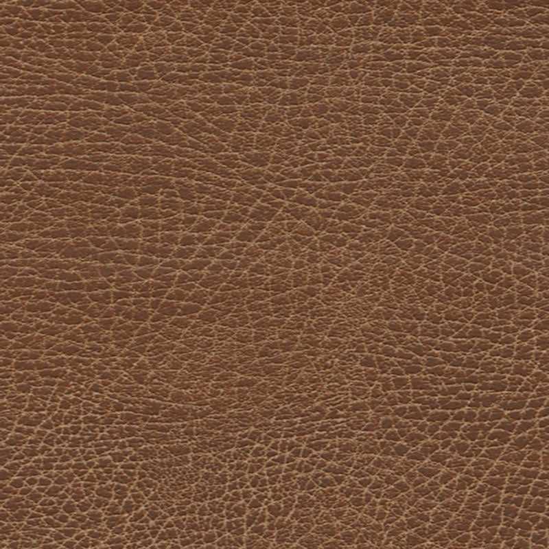 Schumacher BRISA SOLEIL DISTRESSED LASSO Fabric | Atlanta Fabrics