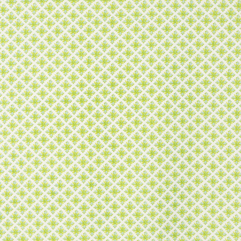 Schumacher GRANADA ROBIN'S EGG Fabric | Atlanta Fabrics