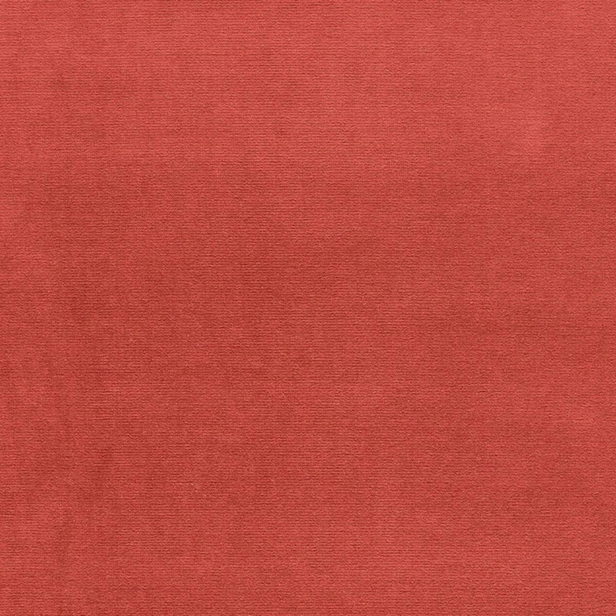 GAINSBOROUGH VELVET ZINNIA