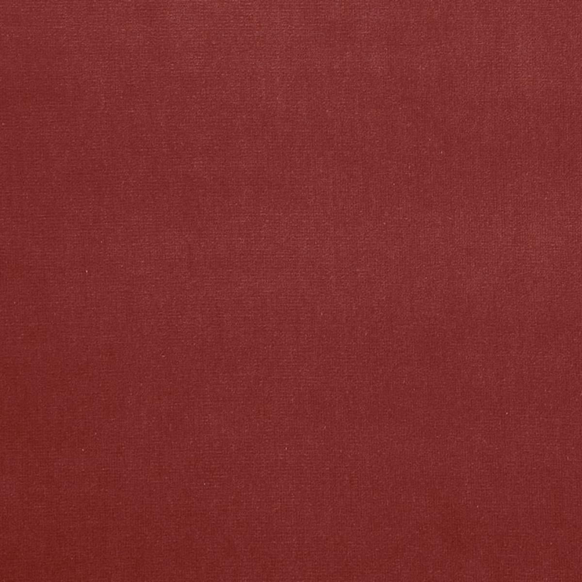 GAINSBOROUGH VELVET GERANIUM