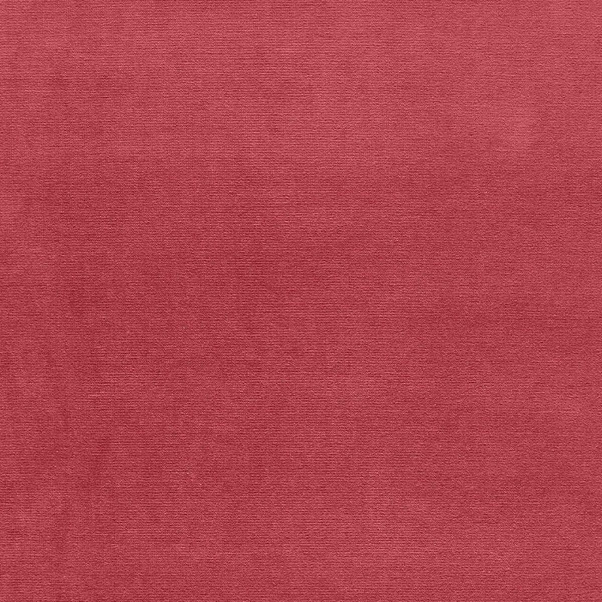 GAINSBOROUGH VELVET WOODROSE