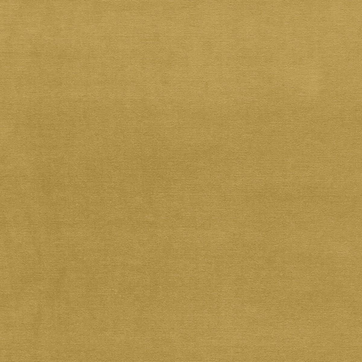 GAINSBOROUGH VELVET SAFFLOWER