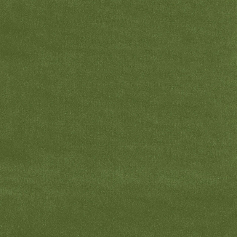 Schumacher GAINSBOROUGH VELVET FERN  | Atlanta Fabrics