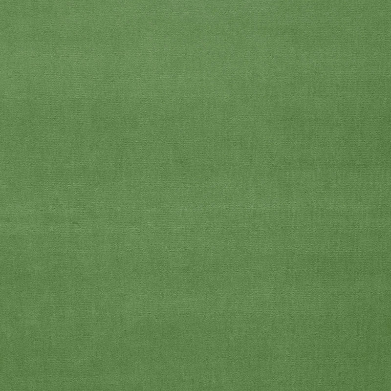 Schumacher GAINSBOROUGH VELVET PARROT  | Atlanta Fabrics