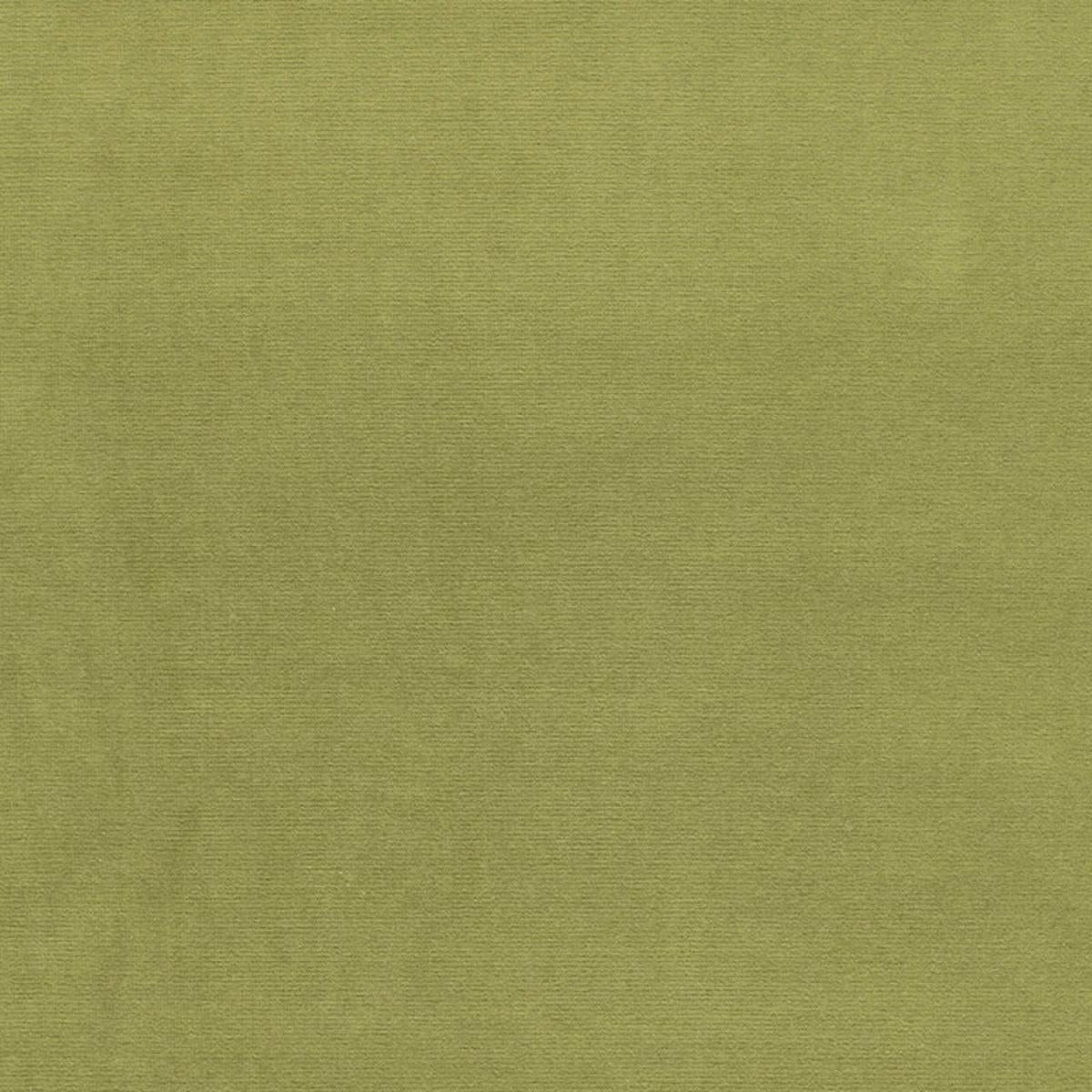 GAINSBOROUGH VELVET PALM